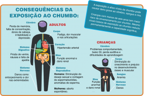 Os prejuízos do chumbo em Maragogipinho - Portal Saúde no Ar