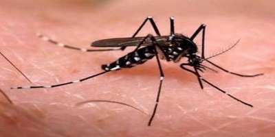 Zika causa problemas motores e de memória em adultos